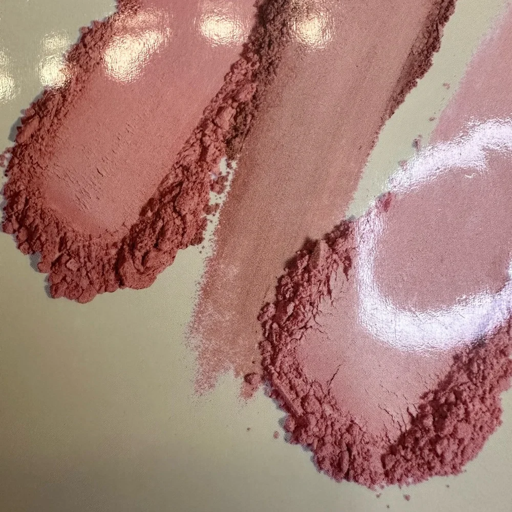 ⚡️Ellen Tracy Blush Compact 4 rosy shades NWT not tested on animals